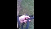 Wife Scares Husband with Snake