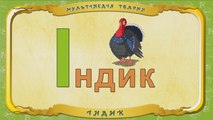 Мультіпедія тварин. Літера І - Індик