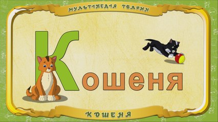 Мультіпедія тварин. Літера К - Кошеня