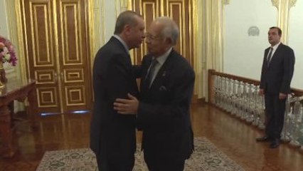 Erdoğan, Mabeyin Köşkü'nde Malezya Başbakanı Necib Rezzak'ı Kabul Etti