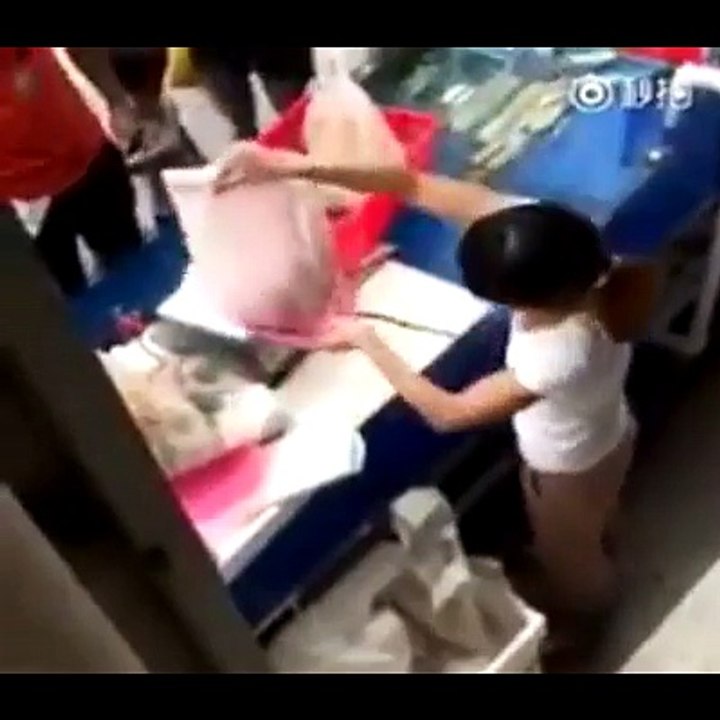 She is very clever see footage