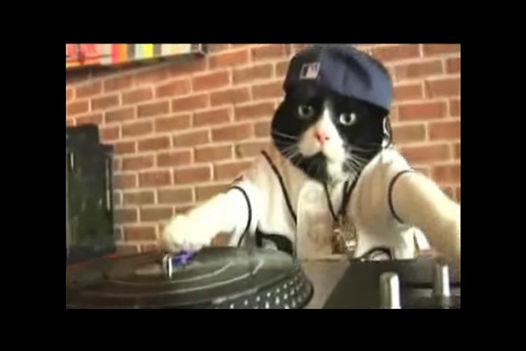 DJ Chat Official Video