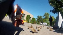 hand feeding the birds some Cheetos (Canada )