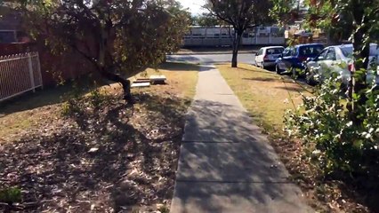 Day 82 - First Day with Ps and Prank Gone Wrong #HSCLife