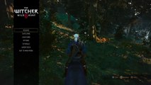 The Witcher 3: Wild Hunt Roach glitch