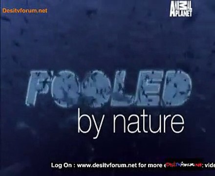 Fooled By Nature 4th September 2014 Video Watch Online Pt1