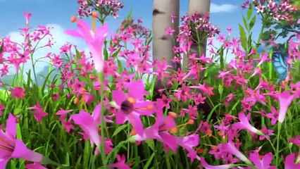 Die Biene Maja - Folge 77 - Der große Fladen