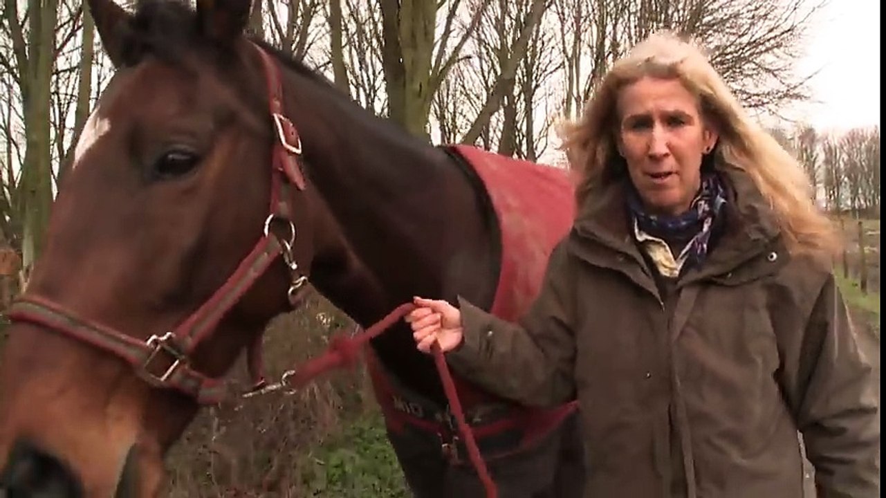 Ils Se Sont Perdus De Vue 4 Longues Années, Une Incroyable Retrouvaille