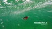 How Lures Swim: MirrOlure Mirrodine XL