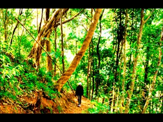 Find your Calm at the best resort in Coorg - Meriyanda Nature Lodge- Coorg