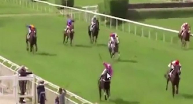 Accident : un cheval percute des spectateurs à Nantes