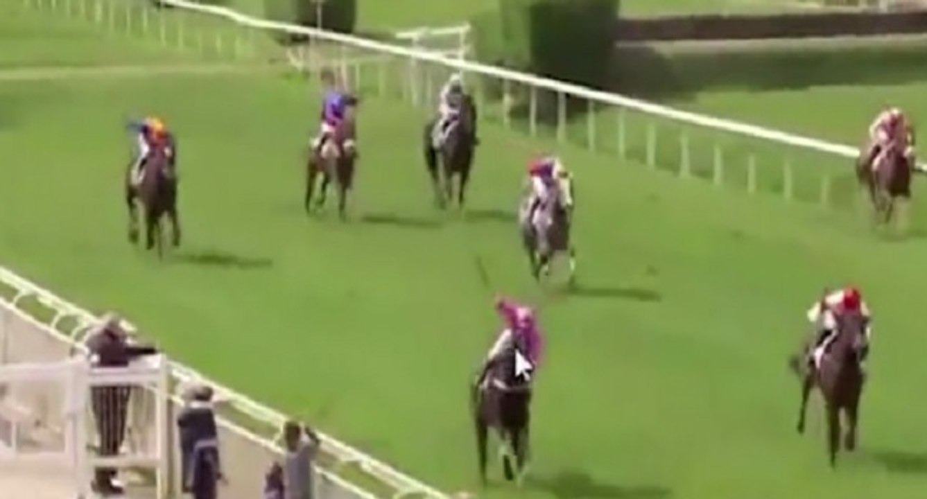 Accident : un cheval percute des spectateurs à Nantes