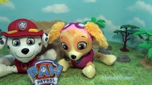 PAW PATROL Nickelodeon Marshall and Skye Pup Pals a Nick Jr Paw Patrol Toy