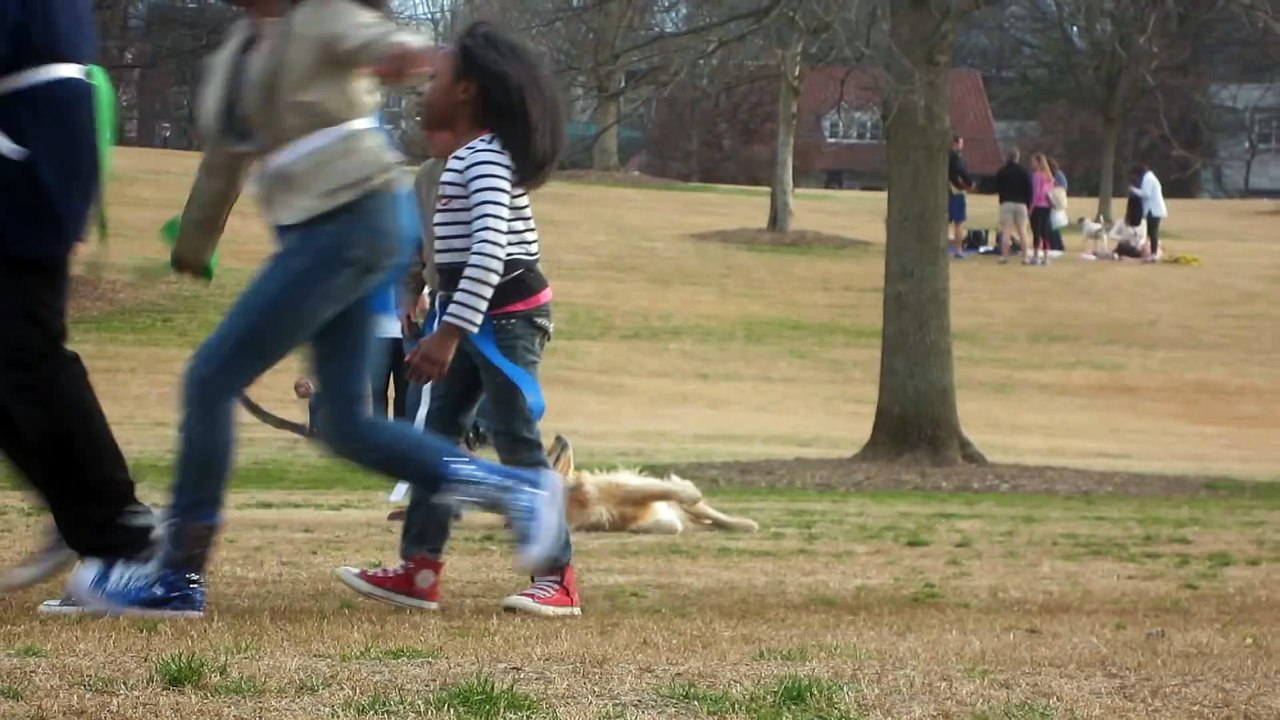Ce chien est très malin, ce qu'il fait pour ne pas rentrer du parc est hilarant !