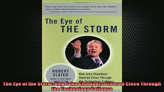 READ book  The Eye of the Storm How John Chambers Steered Cisco Through the Technology Collapse READ ONLINE
