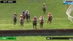 Terrible drame pendant une course hippique : un cheval fonce sur des spectateurs
