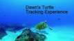 Scuba Diving with a sea turtle at Thonga Beach Lodge