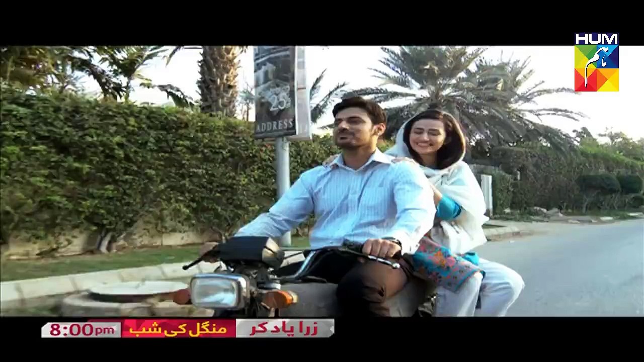 Zara Yaad Kar - OST (HUM TV) - Rahat Fateh Ali Khan