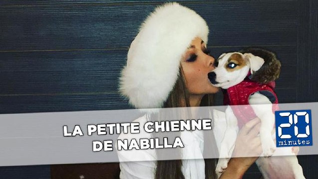 La dure vie de Pita, la petite chienne de Nabilla