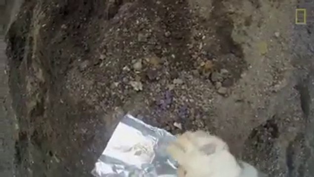 اللہ اکبر اللہ کی بنائی ہوئی کائنات یہ ویڑیو ضرور دیکھۓ الله ہمیں جھنم کے عذاب سے محفوظ فرماے آمین RepostLike apna apka