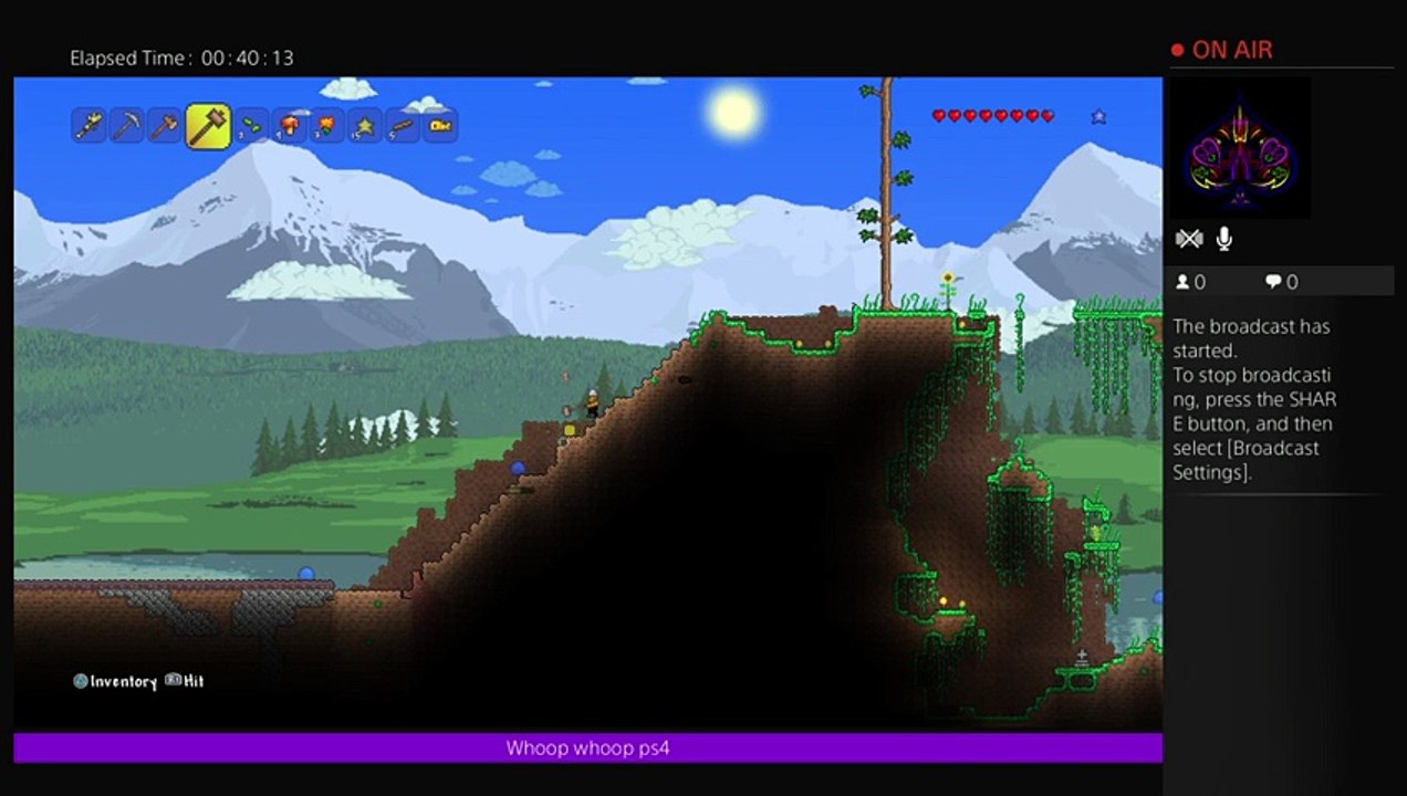 Terraria (12)