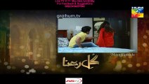Gul e Rana Hum Tv Drama (Next Episode 10 Promo) on (09 January 2016)