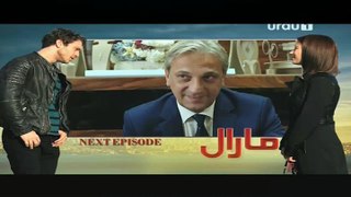 Maral Episode 72 on Urdu1 Promo