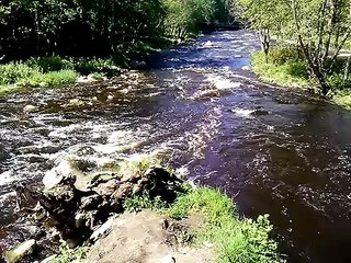 Discover Jägala River & Shop New Shirts 🌊