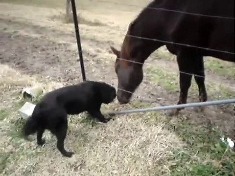 alors tu joue oui ou nom.