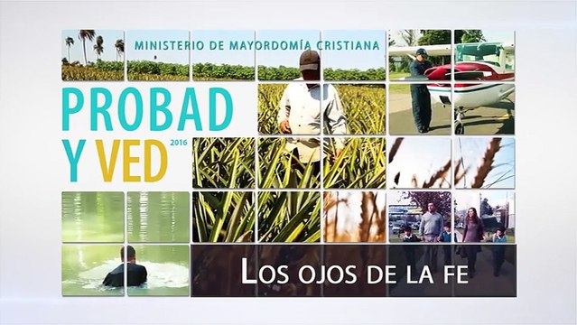 Reflexiones cristianas Los ojos de la fe