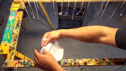 HAWKSBILL HATCHLING : JEAN-BAPTISTE