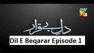 Dil E Beqarar Episode 1 on Hum Tv in 13th April 2016
