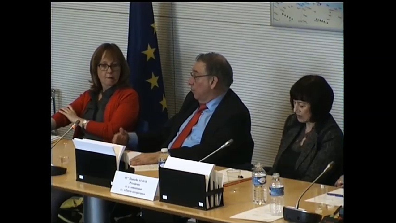 Seybah Dagoma - Audition de Jean-Luc Demarty, directeur général du Commerce de la Commission européenne - 5 avril 2016