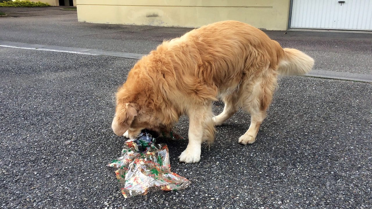 d'Jack déballe son cadeau d'anniversaire