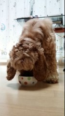 『0I0≫7364≫6022』[안산출장안마]카톡massa22[안산출장마사지]느바급