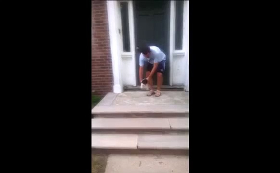 Ce chiot n'arrivait pas à descendre des escaliers... Ce qu'il fera est extraordinaire !