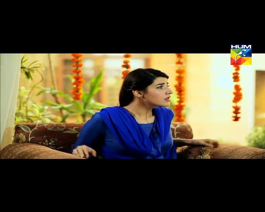 Dil E Beqarar Episode 1 HUM TV Full Drama 13 April 2016
