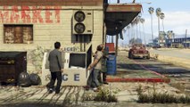 Trevor Phillips Industries - Grand Theft Auto V