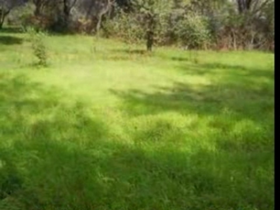 Natural Farming in India - Rishi Kheti - Permaculture