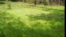 Natural Farming in India - Rishi Kheti - Permaculture
