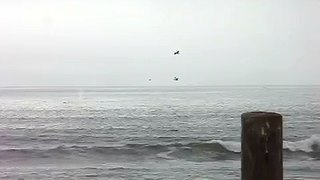 Whales off Ocean Beach, San Francisco (1/2)