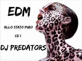EDM ALLO STATO PURO - DJ PREDATORS