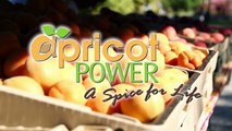 Apricot Power Dried Apricots