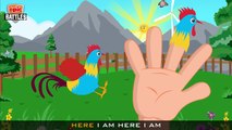 Finger Family Epic Battles Crazy Hen Vs Crow | Finger Family Nursery Rhymes