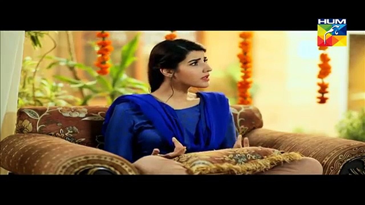 Dil E Beqarar Episode 01 Full HUM TV Drama 13 April 2016 - Dailymotion