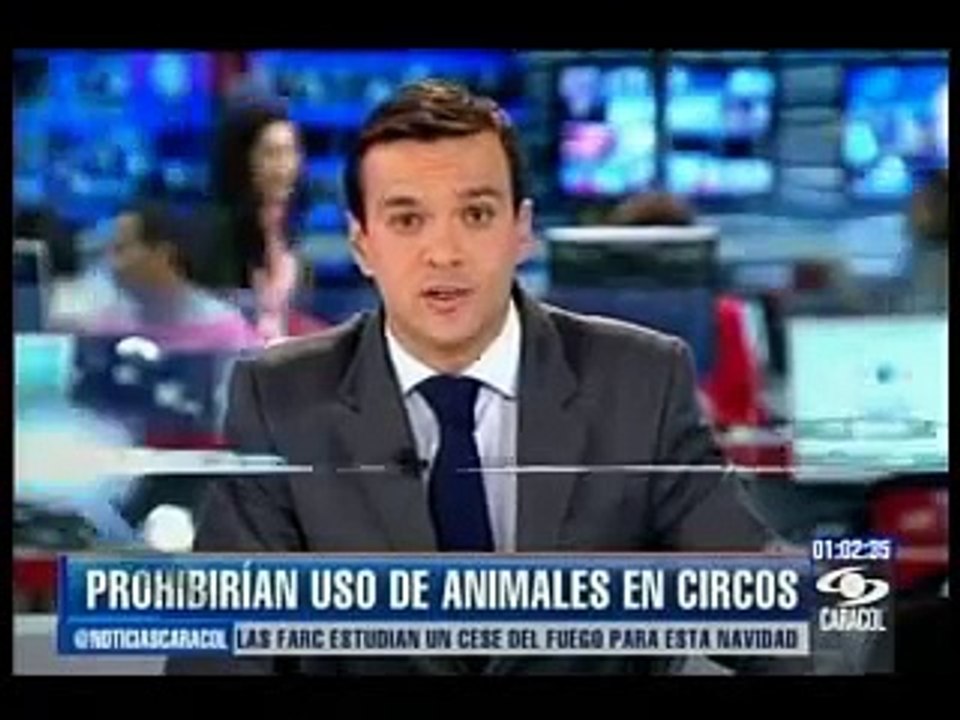 Caracol Noticias 15 de noviembre de 2012