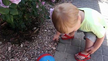 ---Please Tell Brad Pitt to Stop Texting Me