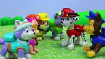 Paw Patrol Duplo Lego Construct a Pup Marshall Statue Falls and Air Rescue Chase and Rocky Save Pups