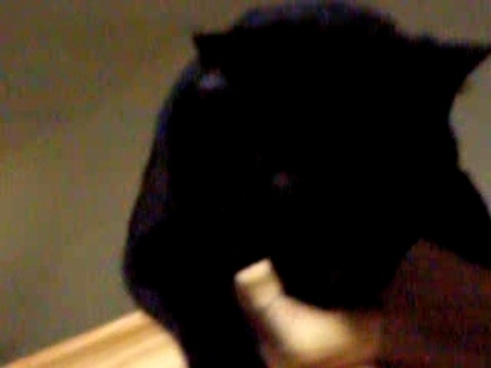 Minou armoire
