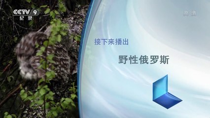 【野性俄罗斯】【EP05】【乌拉尔山地区】【Primeval Valleys】